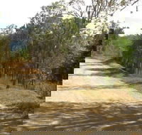The Bloomfield Track - Accommodation Gold Coast