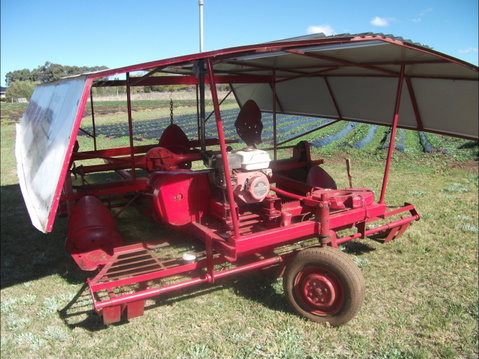 The Super Strawberry - Accommodation Gold Coast 2