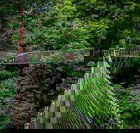 Thunderbird Park  - Tamborine Mountain Gold Coast Region - Accommodation Gold Coast