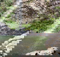 Twin Falls Circuit Springbrook National Park - Accommodation Gold Coast