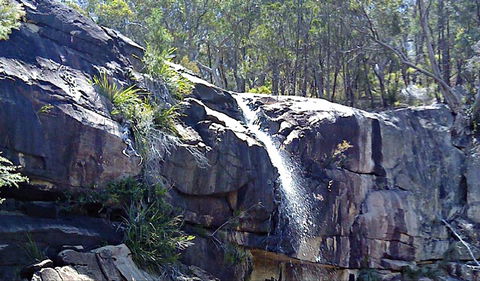 Ugly Corner Falls Walking Track - Accommodation Gold Coast 0