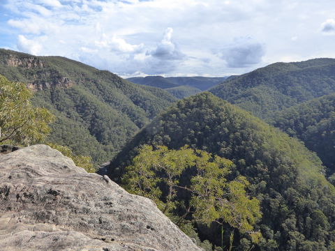 Vale Of Avoca - 1 Gold Coast 0