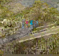 Walpole Wilderness Discovery Centre - Accommodation Gold Coast