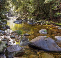 Washpool Walking Track - Accommodation Gold Coast