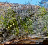 Weddin Gap to Black Spring Loop Trail - Accommodation Gold Coast