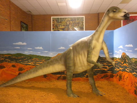Wentworth Pioneer Museum - Accommodation Gold Coast 1