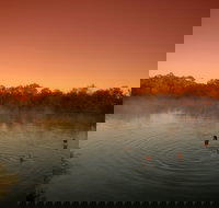 Witjira National Park - 1 Gold Coast