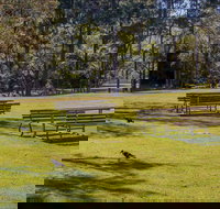Wombeyan picnic area - Accommodation Gold Coast