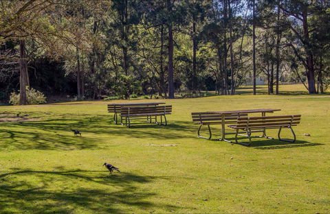 Wombeyan Picnic Area - 1 Gold Coast 0