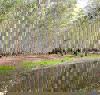 Wonga Wetlands - Accommodation Gold Coast