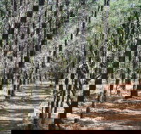 Yana-y Warruwi Walking Track - Accommodation Gold Coast