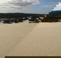 Yeagerup Sand Dunes - Accommodation Gold Coast