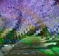Alowyn Gardens and Nursery - Gold Coast 4U