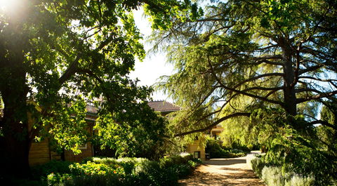 Anlaby - Accommodation Gold Coast 1