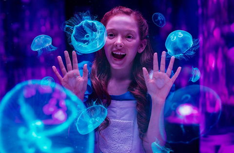 Australia's Sea World - 1 Gold Coast 0