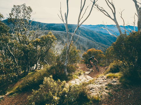 Australian Alpine Epic Mountain Bike Trail - 1 Gold Coast 1