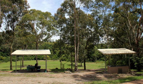 Back Creek Picnic Area - Accommodation Gold Coast 0