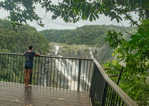 Barron Falls Lookout Track, Barron Gorge National Park - 1 Gold Coast 1