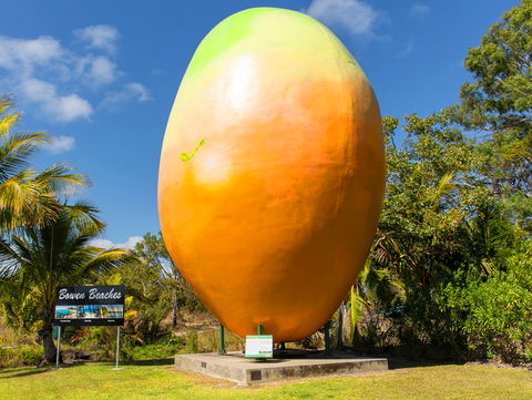 Big Mango - Accommodation Gold Coast 0