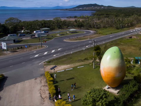Big Mango - Accommodation Gold Coast 1