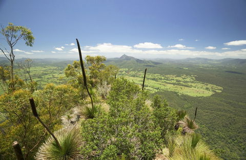 Border Ranges National Park - 1 Gold Coast 0