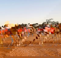 Broken Hill Camels - Accommodation Gold Coast