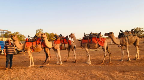 Broken Hill Camels - Gold Coast 4U 0