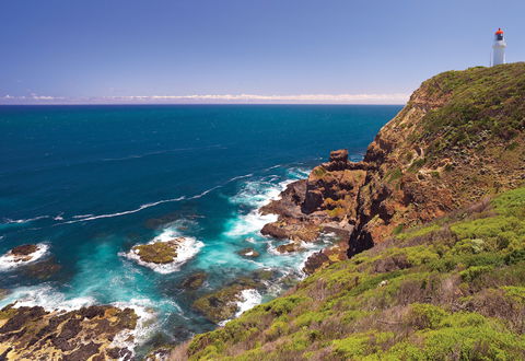 Bushrangers Bay Walking Track - Accommodation Gold Coast 0
