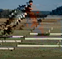 Camden Bicentennial Equestrian Park - Accommodation Gold Coast