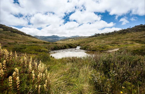 Cascade Hut Trail - Accommodation Gold Coast 0