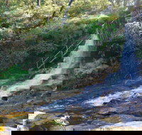 Charles Darwin walk - Accommodation Gold Coast