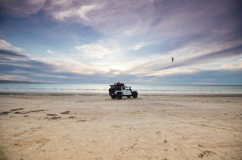 Coorong National Park - Accommodation Gold Coast 0