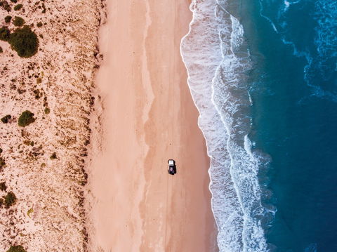 Coorong National Park - Accommodation Gold Coast 2