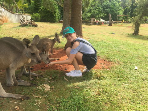 Cooberrie Park Wildlife Sanctuary - 1 Gold Coast 1