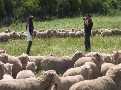 Curringa Farm - Accommodation And Farm Tours - Accommodation Gold Coast 1