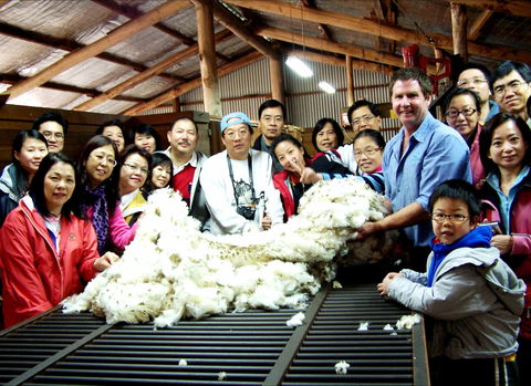Curringa Farm - Accommodation And Farm Tours - Accommodation Gold Coast 2