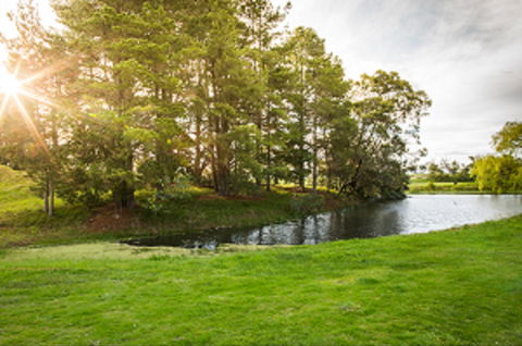 Curlewis Golf Club & The Range At Curlewis The Bellarine - Accommodation Gold Coast 1