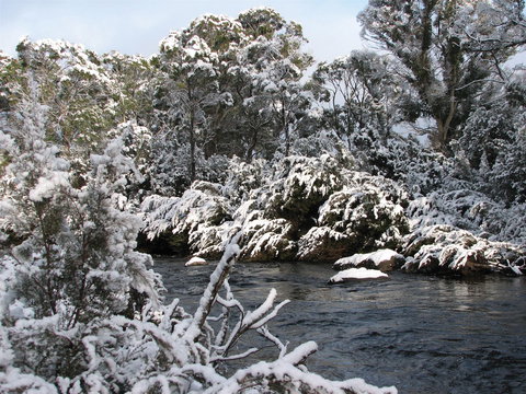 Derwent Bridge - Accommodation Gold Coast 2