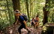 Devils Thumb (Manjal Jimalji) Trail - thumb 0