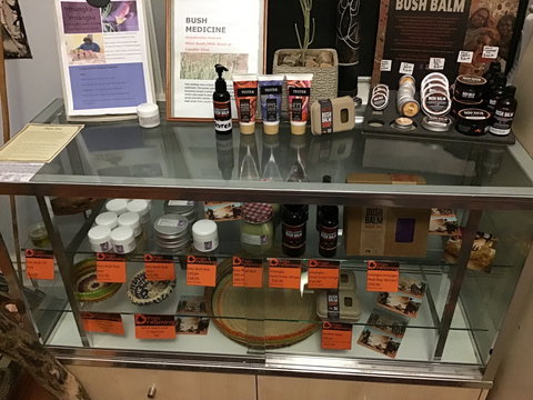 Dingo Dreaming - Accommodation Gold Coast 2