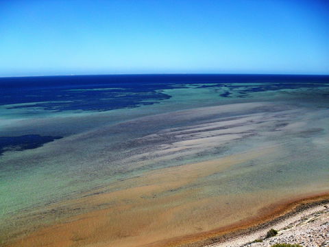 Eagle Bluff - Accommodation Gold Coast 2