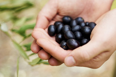 Eat, Pick, Grow Trail - Wanneroo And Chittering - 1 Gold Coast 0
