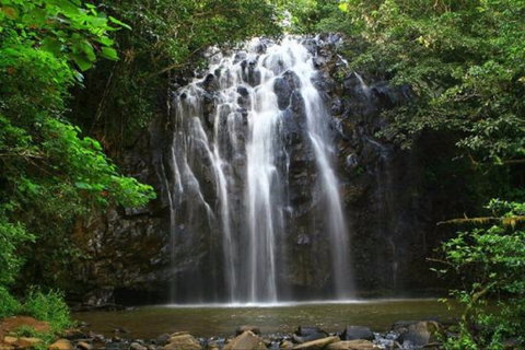 Ellinjaa Falls - 1 Gold Coast 0