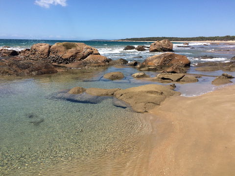 Eurimbula National Park - Accommodation Gold Coast 0