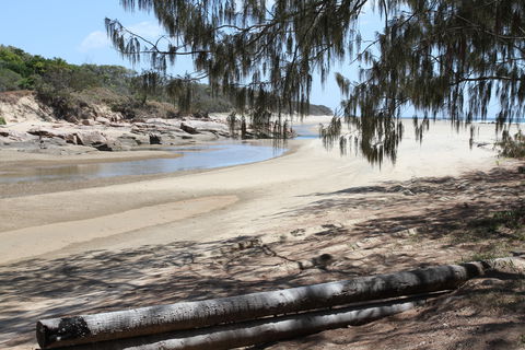 Eurimbula National Park - Accommodation Gold Coast 2