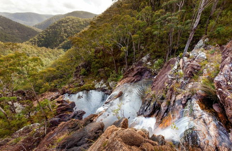 Gibraltar Range National Park - Accommodation Gold Coast 0