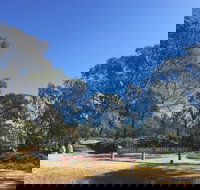 Grenfell Endemic Garden - Accommodation Gold Coast