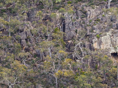 Horsnell Gully And Giles Conservation Parks - 1 Gold Coast 0