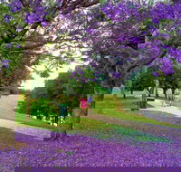 Howe Park - Accommodation Gold Coast