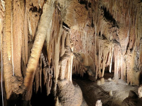 Jillabenan Cave - Accommodation Gold Coast 0